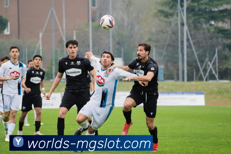 App Interface Preview