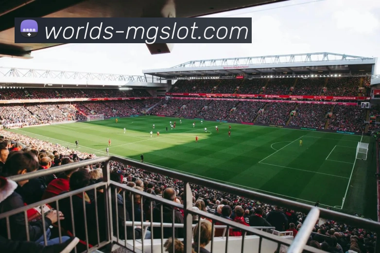 MG电子官网APP 封面图